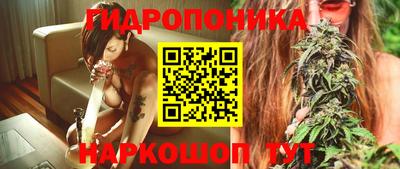 Альфа ПВП Краснознаменск